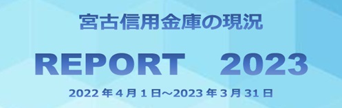 ディスクロージャー